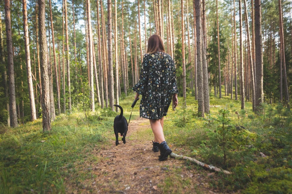 Mindful distraction through walking in nature to reduce stress